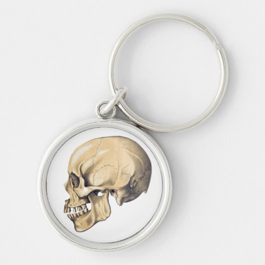  illustratie van de anatomie van de schedel sleutelhanger (Voorkant)