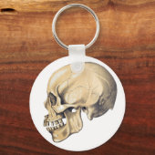  illustratie van de anatomie van de schedel sleutelhanger (Voorkant)