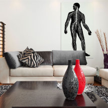 Illustratie van de anatomie van het menselijk zenu