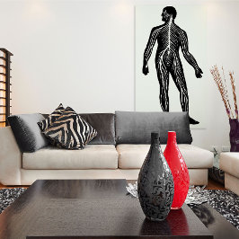 Illustratie van de anatomie van het menselijk zenu poster