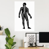 Illustratie van de anatomie van het menselijk zenu poster (Thuiskantoor)