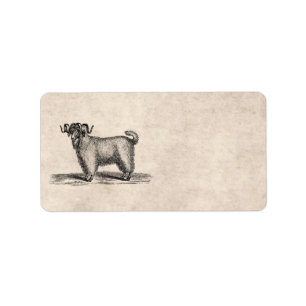 Illustratie van de  angoragegeit - 1800 geiten etiket