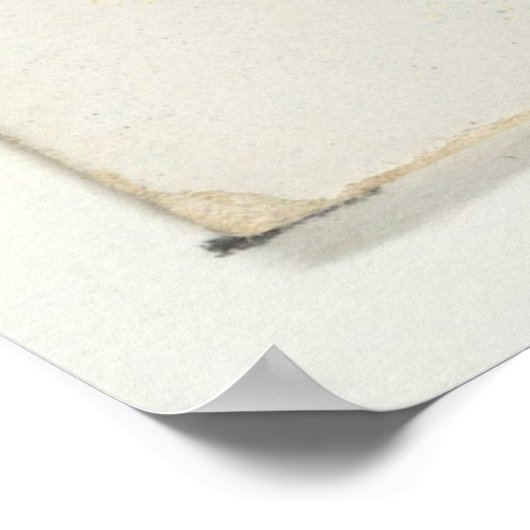 Illustratie van de  Barbados-vis (1889) Poster (Hoek)