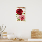 Illustratie van de  bloem Peony 1904 Poster (Keuken)