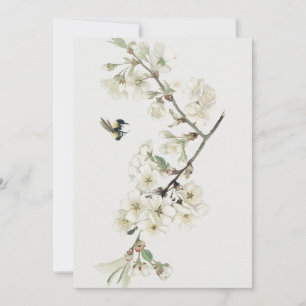 illustratie van de bloesem van appels kaart