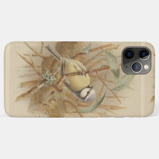 illustratie van de Bluetit Case-Mate iPhone Case (Achterkant (horizontaal))