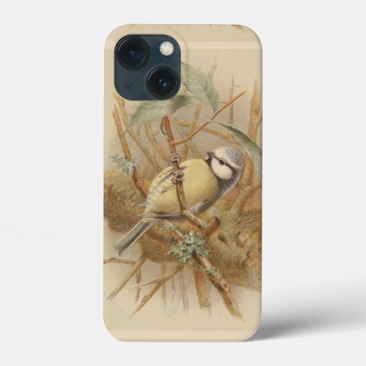  illustratie van de Bluetit Case-Mate iPhone Case (Achterkant)