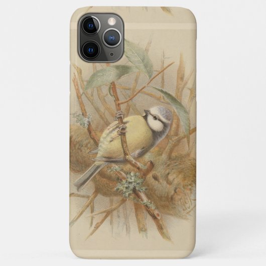  illustratie van de Bluetit Case-Mate iPhone Case (Achterkant)