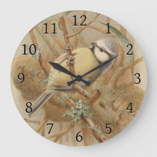 illustratie van de Bluetit Grote Klok