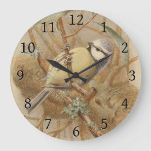  illustratie van de Bluetit Grote Klok