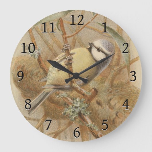  illustratie van de Bluetit Grote Klok (Voorkant)