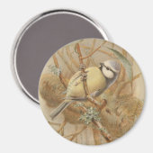 illustratie van de Bluetit Magneet (Voorkant / Achterkant)