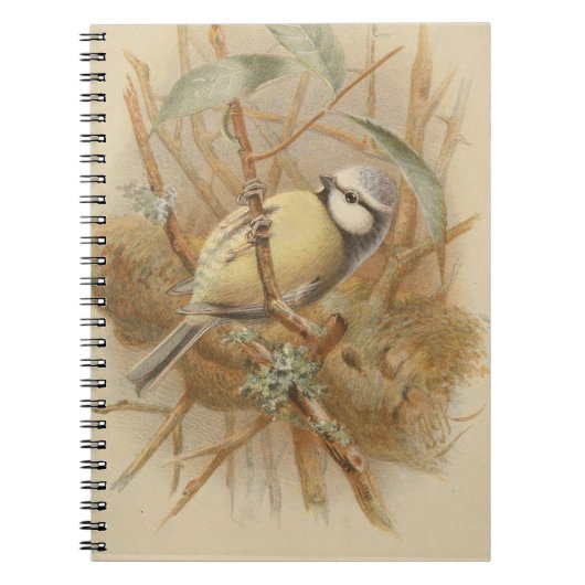 illustratie van de Bluetit Notitieboek (Voorkant)