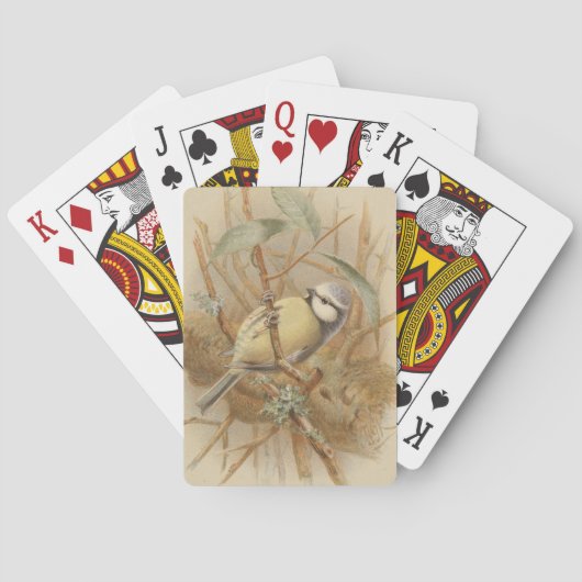  illustratie van de Bluetit Pokerkaarten (Achterkant)