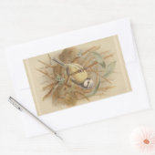  illustratie van de Bluetit Rechthoekige Sticker (Envelop)