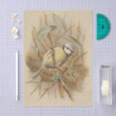 illustratie van de Bluetit Tissuepapier (Craft)