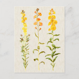 illustratie van de bodembedekking briefkaart