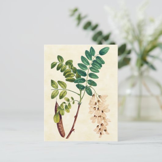 illustratie van de bodemsprinkhals briefkaart (Staand voorkant)