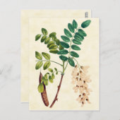  illustratie van de bodemsprinkhals briefkaart (Voorkant / Achterkant)