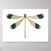 Illustratie van de Dragonfly Poster (Voorkant)