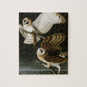 Illustratie van de  eigenaar van Barn (Audubon) Legpuzzel