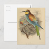  illustratie van de Europese bijeneter Briefkaart (Voorkant / Achterkant)