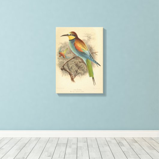 illustratie van de Europese bijeneter Canvas Afdruk (Insitu (Houten vloer))