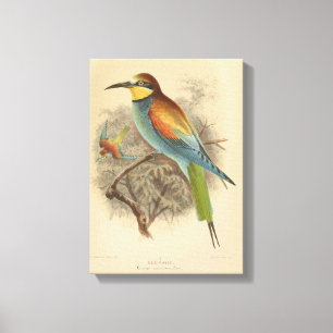  illustratie van de Europese bijeneter Canvas Afdruk