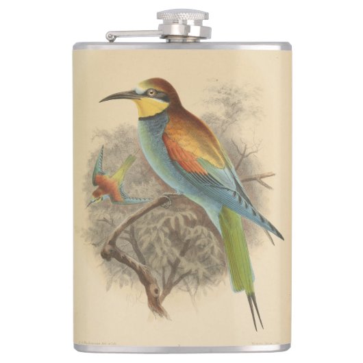  illustratie van de Europese bijeneter Heupfles (Voorkant)