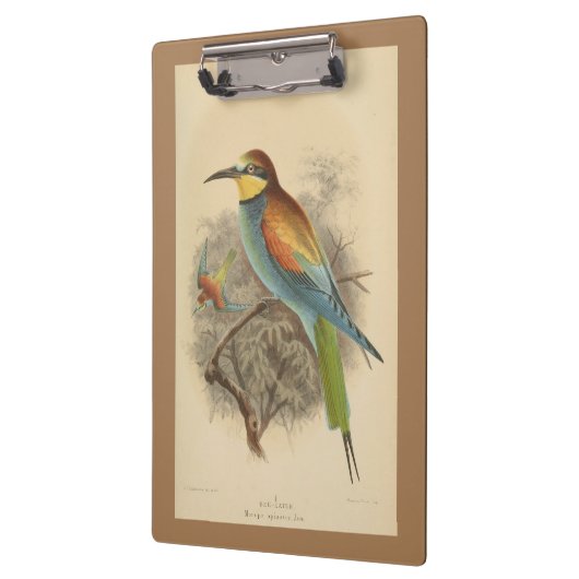 illustratie van de Europese bijeneter Klembord (Links)