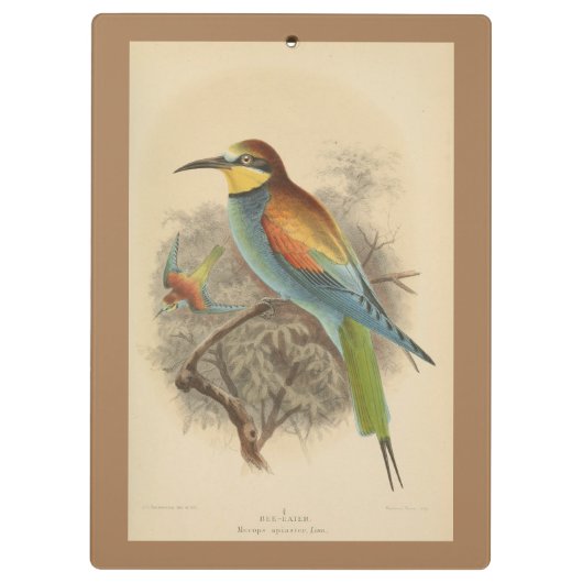  illustratie van de Europese bijeneter Klembord (Achterkant)