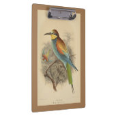  illustratie van de Europese bijeneter Klembord (Rechts)