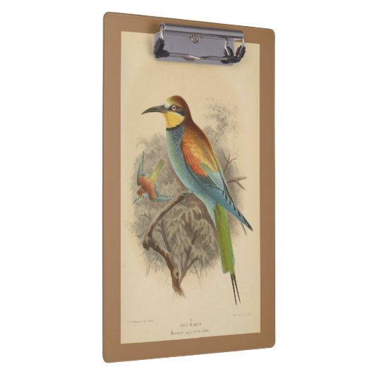  illustratie van de Europese bijeneter Klembord (Rechts)