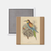 illustratie van de Europese bijeneter Magneet (Voorkant / Achterkant)