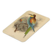  illustratie van de Europese bijeneter Magneet (Linkerzijde)