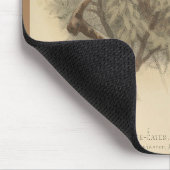  illustratie van de Europese bijeneter Muismat (Hoek)