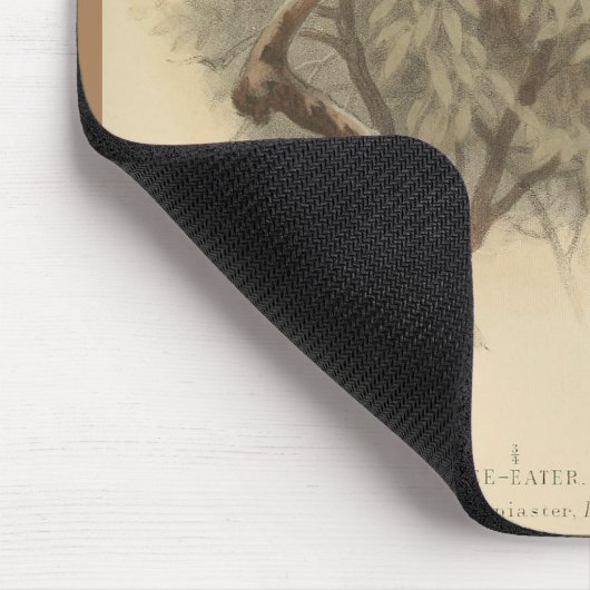 illustratie van de Europese bijeneter Muismat (Hoek)