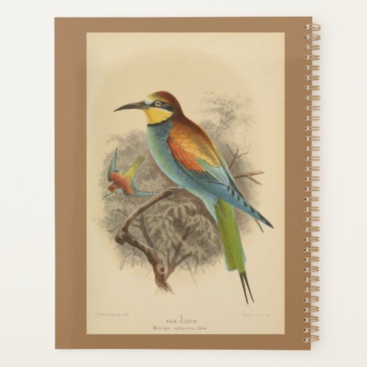  illustratie van de Europese bijeneter Planner (Achterkant)