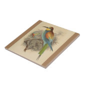  illustratie van de Europese bijeneter Tegeltje (Zijkant)