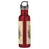 illustratie van de Europese bijeneter Waterfles (Voorkant)