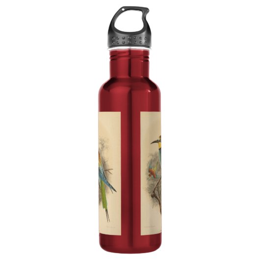  illustratie van de Europese bijeneter Waterfles (Voorkant)