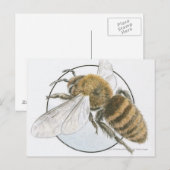 Illustratie van de Europese honingbijen Briefkaart (Voorkant / Achterkant)