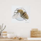 Illustratie van de Europese honingbijen Poster (Keuken)