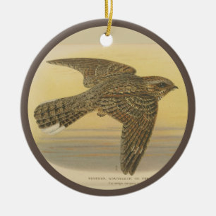 illustratie van de Europese nachtjar Keramisch Ornament