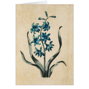  illustratie van de flessenverlichting