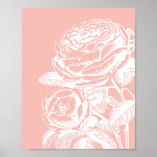 illustratie van de flora Blush Pink Botanical Poster (Voorkant)