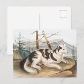 Illustratie van de hazeldragende Indiase hond (Can Briefkaart (Voorkant / Achterkant)