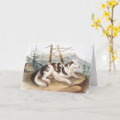 Illustratie van de hazeldragende Indiase hond (Can Kaart (Gele Bloem)