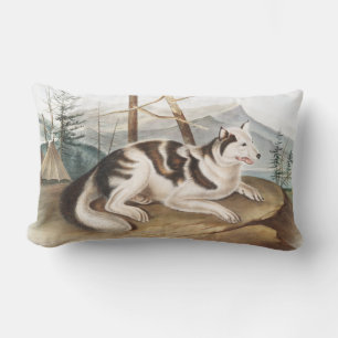 Illustratie van de hazeldragende Indiase hond (Can Kussen