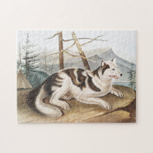 Illustratie van de hazeldragende Indiase hond (Can Legpuzzel